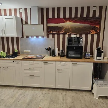 Ahauser Business- Und Ferien-appartement 48qm Appartement